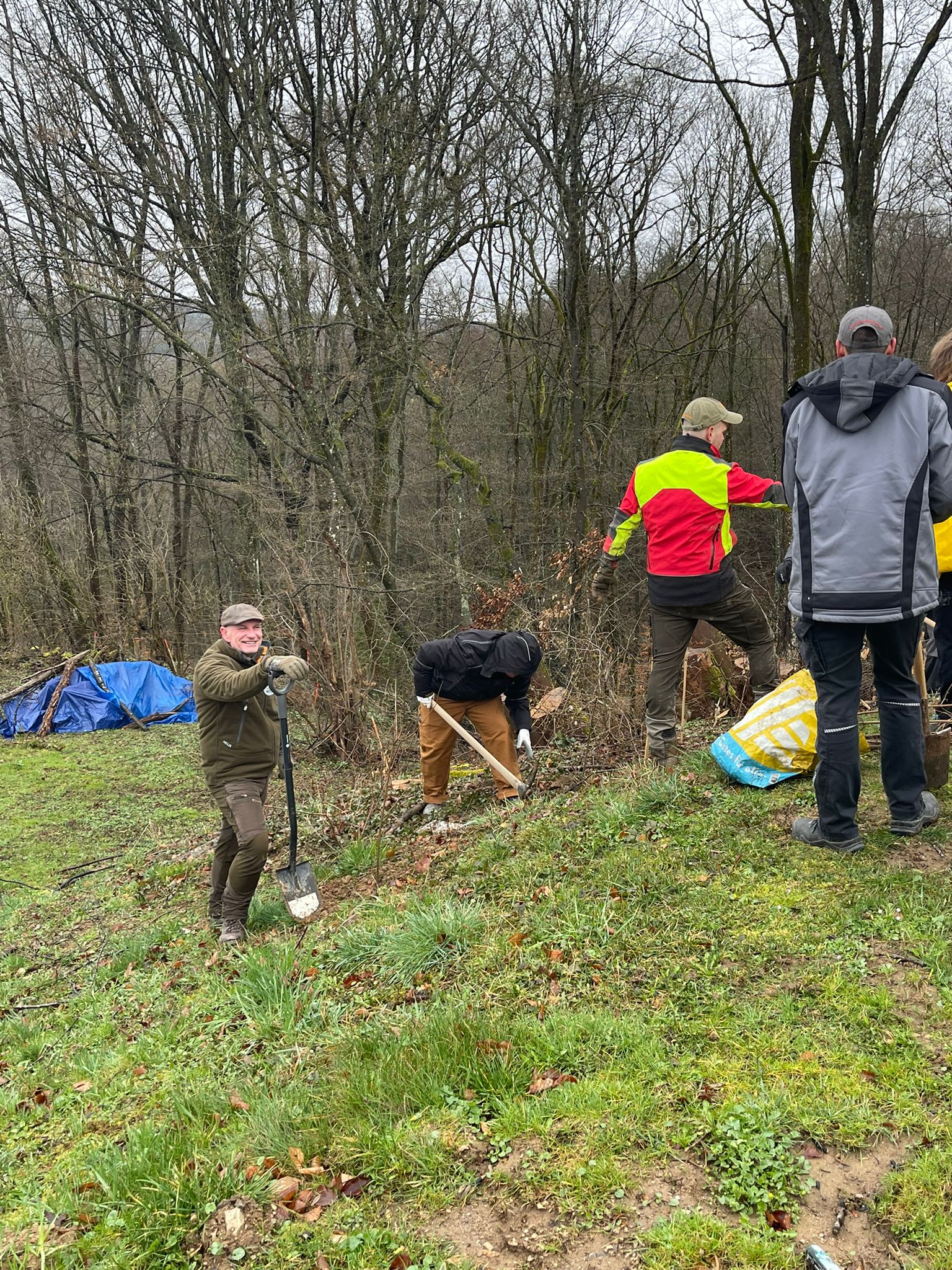 Gruppe beim Pflanzen im Waldbereich